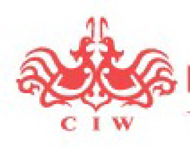 2010冬季中國(北京)國際婚博會