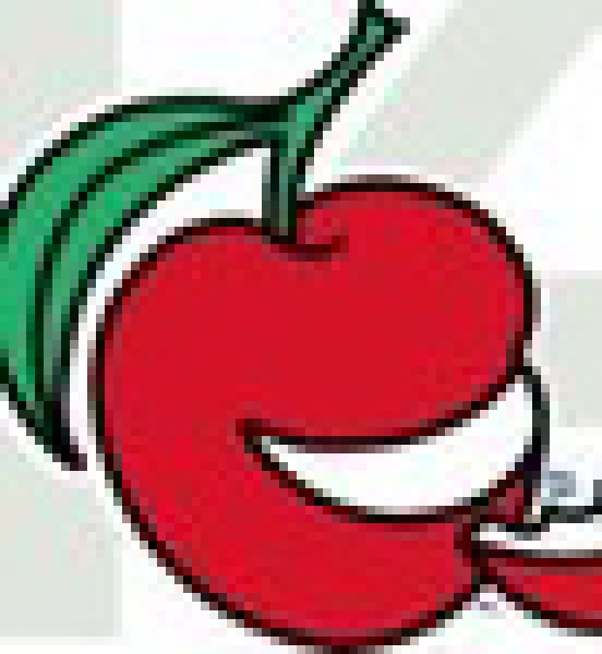 2010第十四屆國際食品、飲料、酒店設(shè)備、餐飲設(shè)備、烘培及服務(wù)展覽會