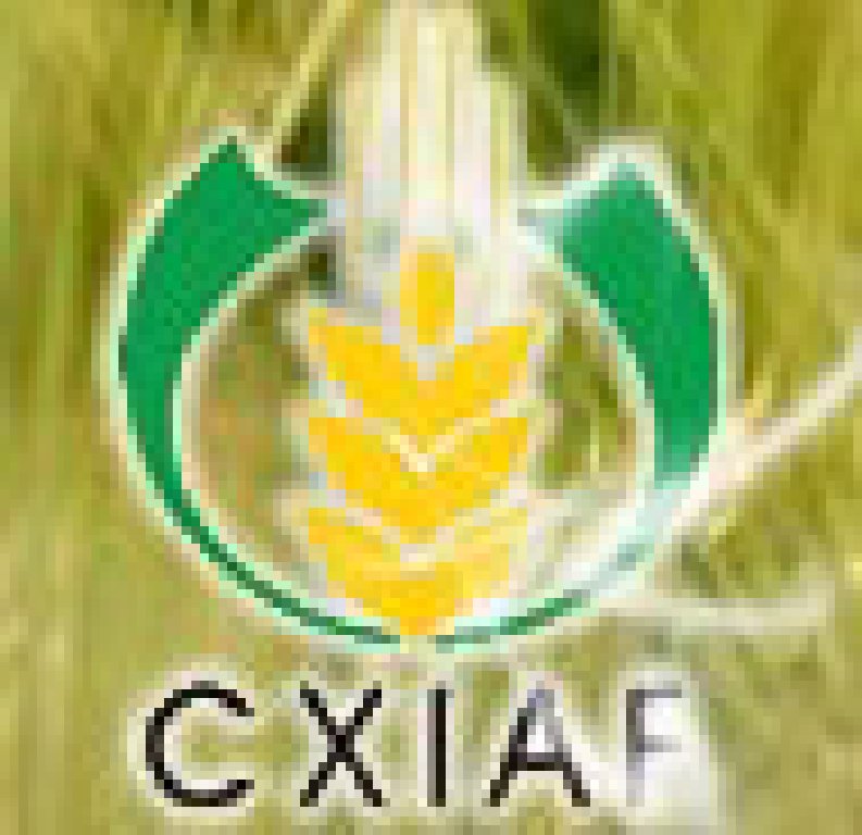 2011第十一屆新疆國際農(nóng)業(yè)博覽會