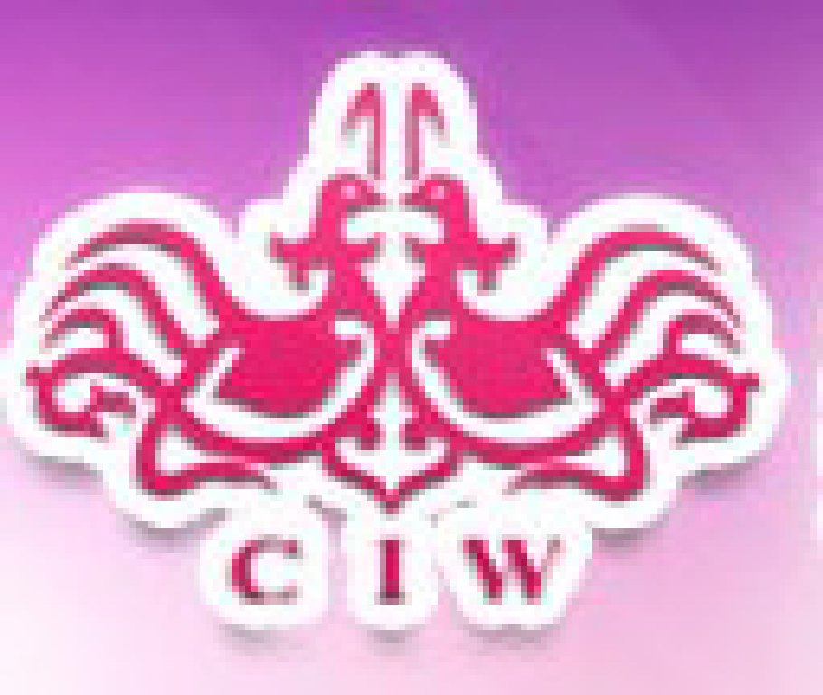 2011秋季中國(北京)婚博會